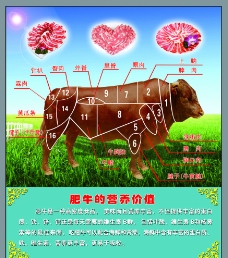 牛肉分布图图片