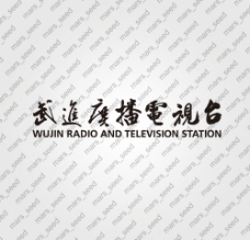 武进电视台书法文字图片
