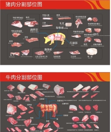 猪肉及牛肉分割图图片