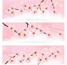 春季横幅春天樱花背景横幅图片