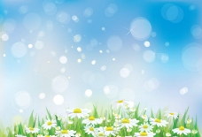 春季鲜花草地春天背景图片