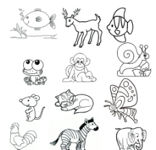 动物画动物简笔画图片