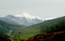 雪山阿尼玛卿峰图片