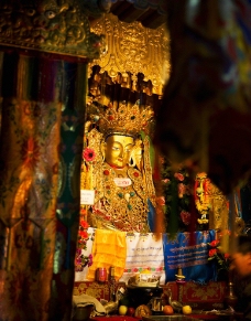 西藏金佛图片