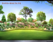 阳光草地 植物造景图片
