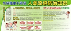 H7N9春季禽流预防图片