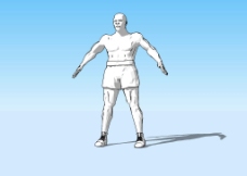 人体模型拳王人体3D模型图片