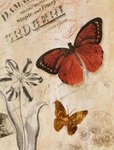 古典蝴蝶图片