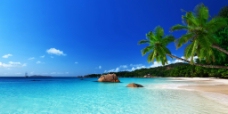 日系大海沙滩椰树图片