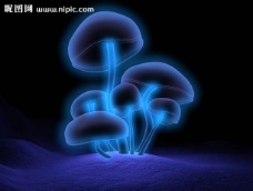 源文件发光的蘑菇图片