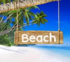 日系大海沙滩椰树图片