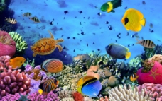 水族馆海底世界图片