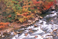 自然 山水 河流图片