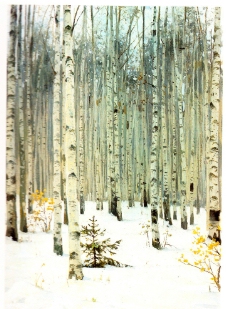 冬天白桦林油画图片