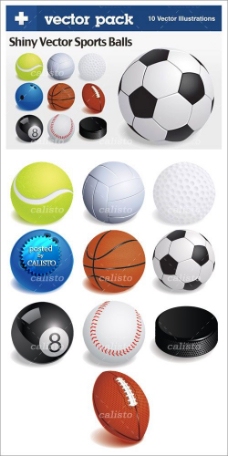 各种体育球类设计矢量图