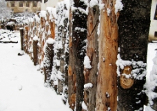 木柱与雪木围栏图片