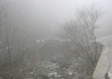 雾中风景图片
