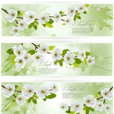 绿叶鲜花春天背景图片