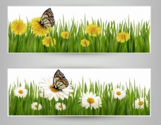 春季主题绿草地鲜花蝴蝶图片