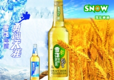 雪山雪花啤酒图片