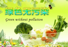 绿色蔬菜绿色无污染图片