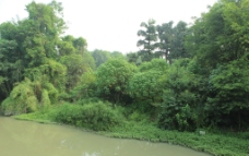 浣花溪公园图片