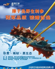 筷夹海参獐子岛图片