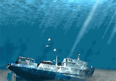 底图3dmax海底鱼动画图片