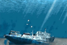 底图3dmax海底鱼动画图片