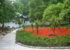 琅琊山下园林图片