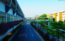 交通建设 城市绿化图片