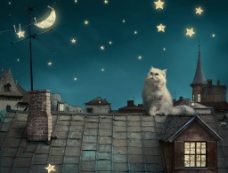卡通夜景猫咪图片