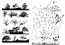 矢量树和飞鸟