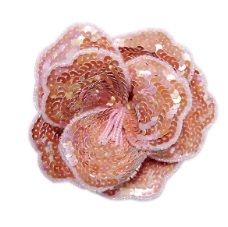 色彩 粉红色 花卉 珠片 亮片 免费素材