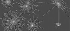 蜘蛛网矢量集向量