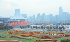 第九届中国东盟博览会图片