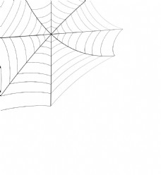 抽象设计创作抽象的蜘蛛网设计艺术
