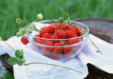 新鲜草莓采摘园带叶带花