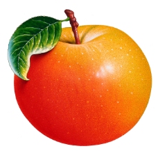 带叶苹果特写苹果图片苹果标本苹果素材
