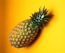 水果特写黄底背景菠萝特写环保除味好帮手菠萝水果