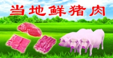 源文件鲜猪肉海报图片