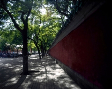 北京故宫资料图片皇家城墙红墙绿树明清建筑
