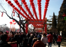 北京春节龙潭公园图片