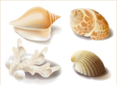 海螺 贝壳 海星 矢图片