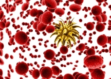 病毒 细菌 微生物图片