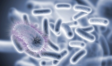病毒 细菌 微生物图片
