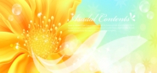 金色花卉横幅矢量素材图片