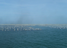 宁波海景图片