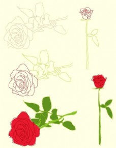 玫红色玫瑰矢量玫瑰花