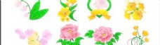 牡丹花玫瑰郁金香和其他的花